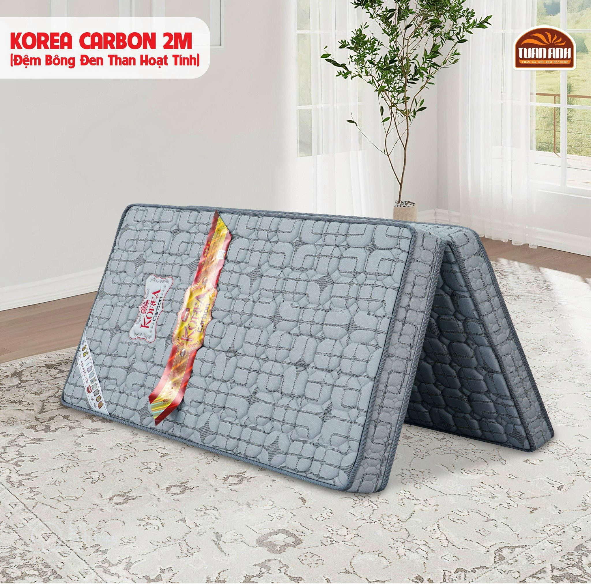 Đệm Bông Ép Korea Carbon Than Hoạt Tính 2 Mảnh